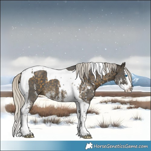 Horse Color:Silver Buckskin Sabino Splash Tobiano 