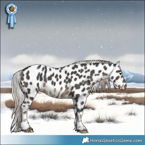 Horse Color:Silver Black Tobiano Leopard 