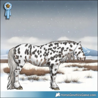 Horse Color:Silver Black Tobiano Leopard 