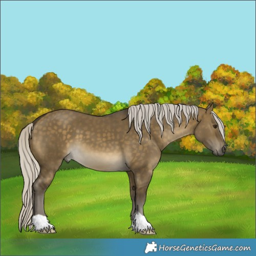 Horse Color:Silver Buckskin Dun 