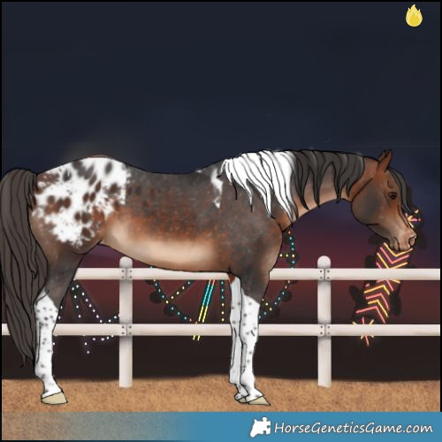 Horse Color:Bay Tobiano Blanket 