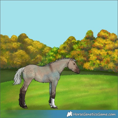 Horse Color:Silver Brown Dun Tobiano 