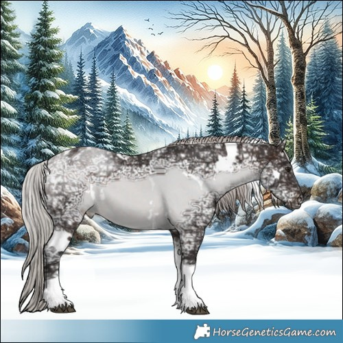 Horse Color:White Spotted Silver Brown Ice Tobiano 