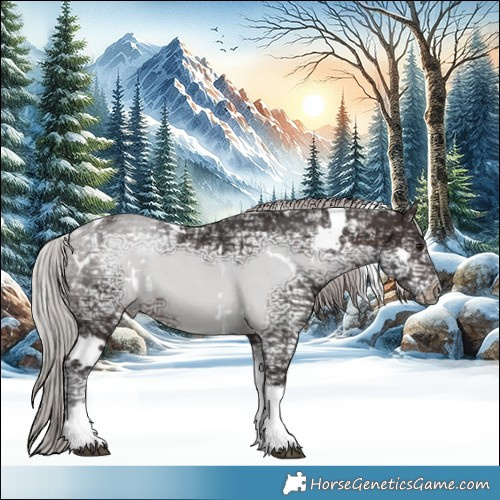 Horse Color:White Spotted Silver Brown Ice Tobiano 