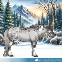 Horse Color:White Spotted Silver Brown Ice Tobiano