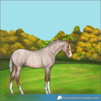 Horse Color:Silver Brown Roan Pearl 