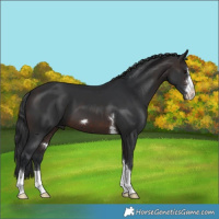 Horse Color:Brown 