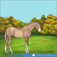 Horse Color:Chocolate Palomino Pearl