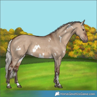 Horse Color:White Spotted Silver Brown Dun