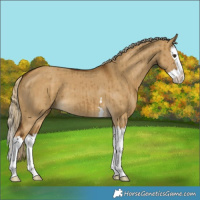 Horse Color:Chocolate Palomino Dun Splash Brindle 