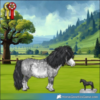 Horse Color:White Spotted Bay Chinchilla