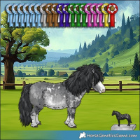 Horse Color:White Spotted Bay Chinchilla 