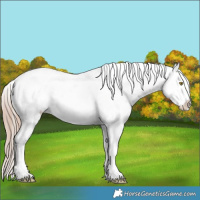 Horse Color:Liver Red Dun Roan Tobiano Snowflake Varnish