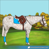 Horse Color:Chocolate Palomino Snowflake Varnish 