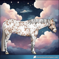 Horse Color:White Spotted Bay Snowflake Varnish