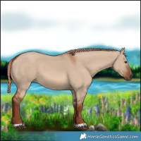 Horse Color:Red Dun 