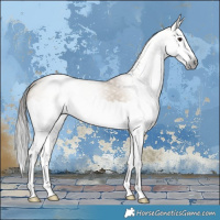 Horse Color:Gray Bay Dun Splash 
