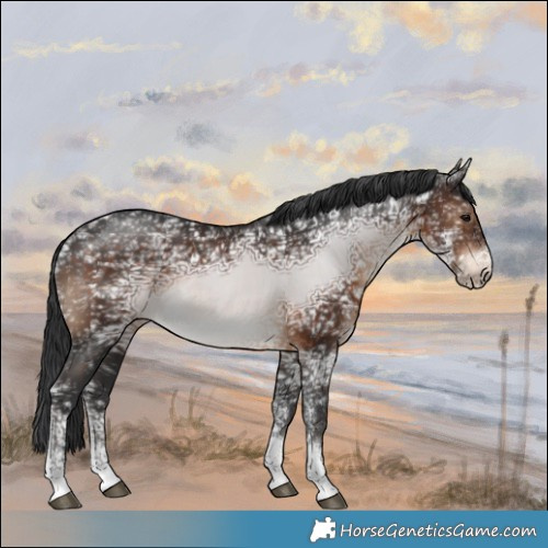 Horse Color:Brown Ice Sabino 