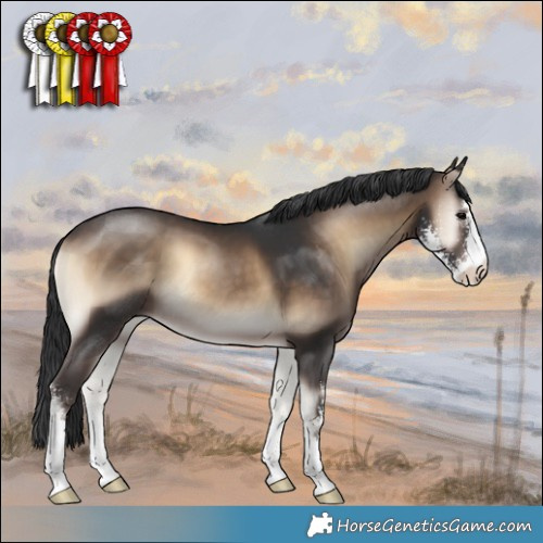 Horse Color:Brown Onyx Sabino 