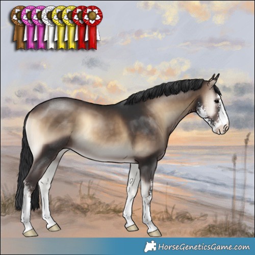 Horse Color:Brown Onyx Sabino 