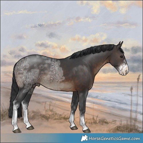 Horse Color:Brown Ice Sabino 