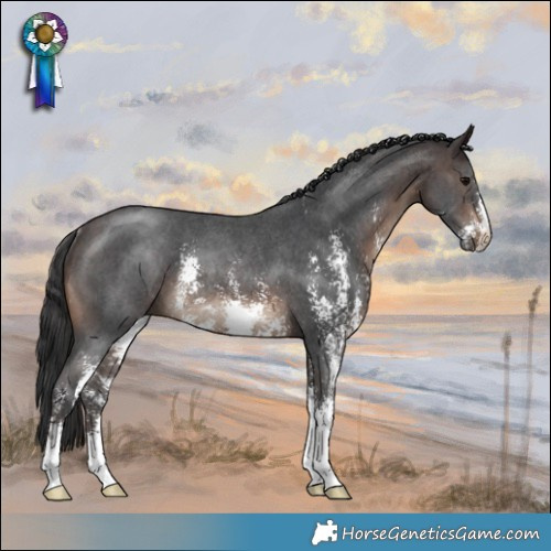 Horse Color:Brown Sabino Rabicano 