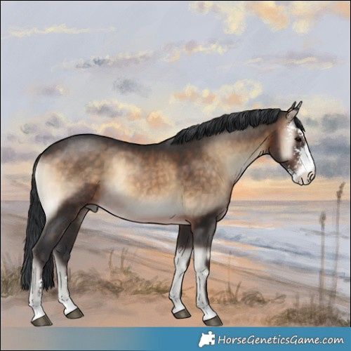 Horse Color:Brown Onyx Sabino 