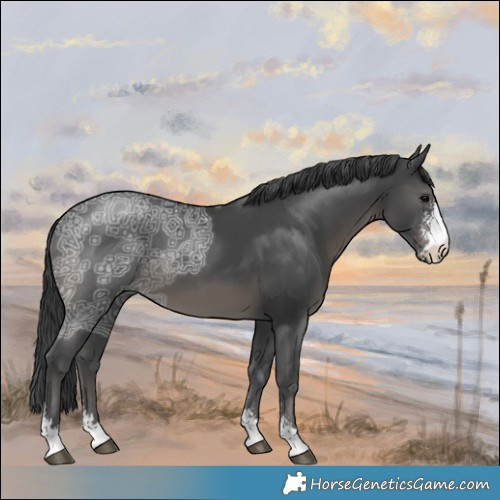 Horse Color:Black Ice Sabino 