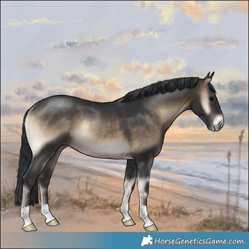 Horse Color:Brown Onyx Rabicano 