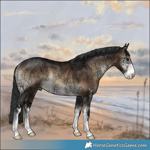 Horse Color:Brown Ice Onyx Sabino Rabicano 