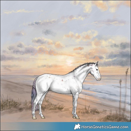 Horse Color:Nacre White Spotted Brown Onyx Mushroom Sabino Rabicano 