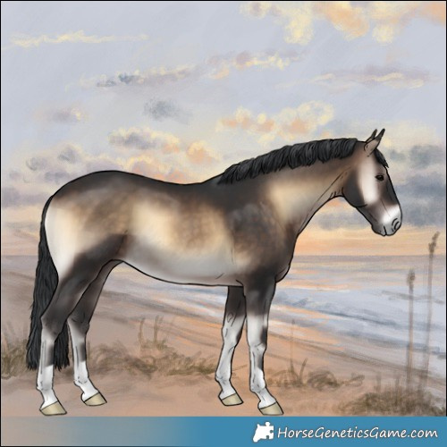 Horse Color:Brown Onyx 
