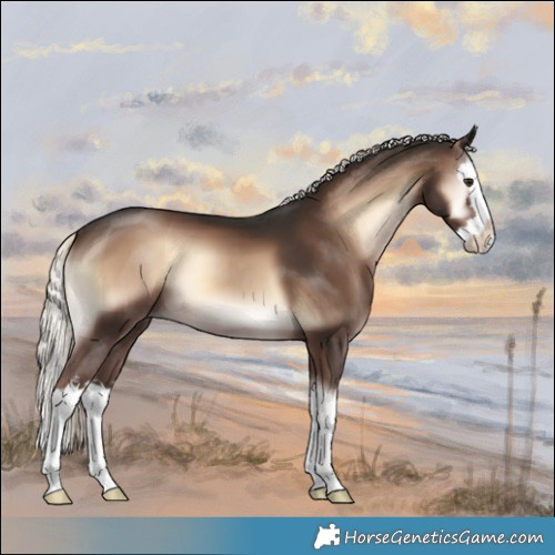 Horse Color:Liver Red Onyx Mushroom Sabino Splash 