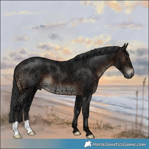 Horse Color:Brown Ice 