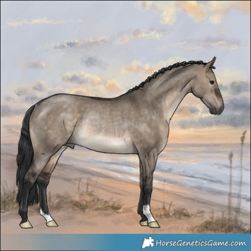 Horse Color:Brown Dun Rabicano 