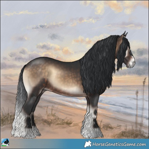 Horse Color:Brown Onyx Rabicano 