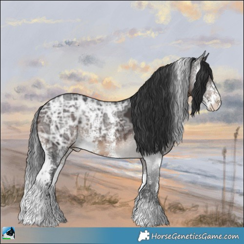 Horse Color:Brown Ice Sabino 