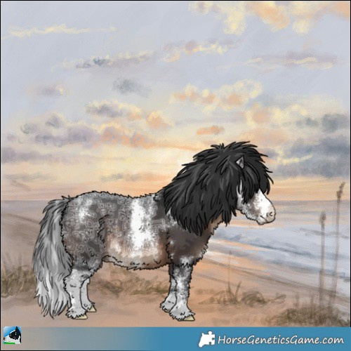 Horse Color:Brown Ice Sabino 