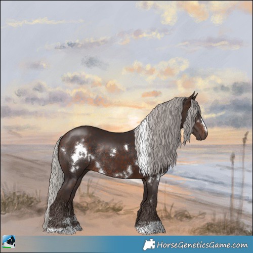 Horse Color:White Spotted Silver Brown Rabicano 