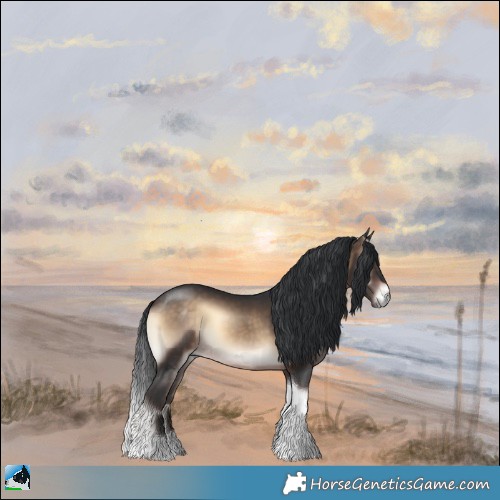 Horse Color:Brown Onyx Tobiano Rabicano 