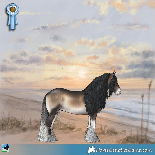 Horse Color:Brown Onyx Tobiano Rabicano 