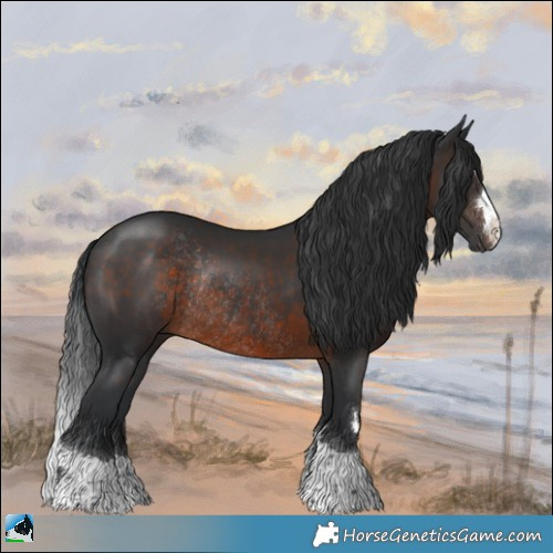 Horse Color:Brown Rabicano 