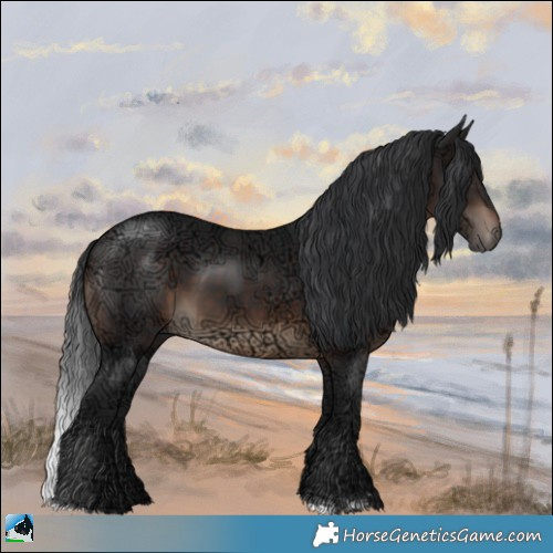 Horse Color:Brown Ice Rabicano 