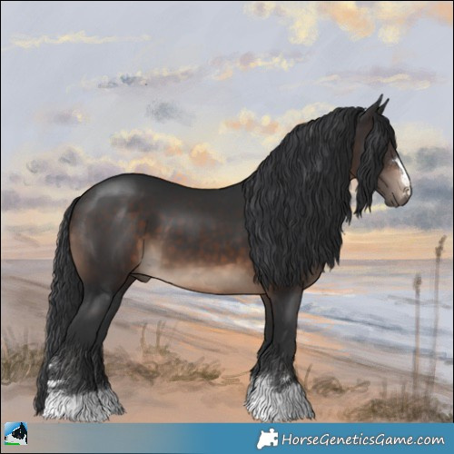 Horse Color:Brown 
