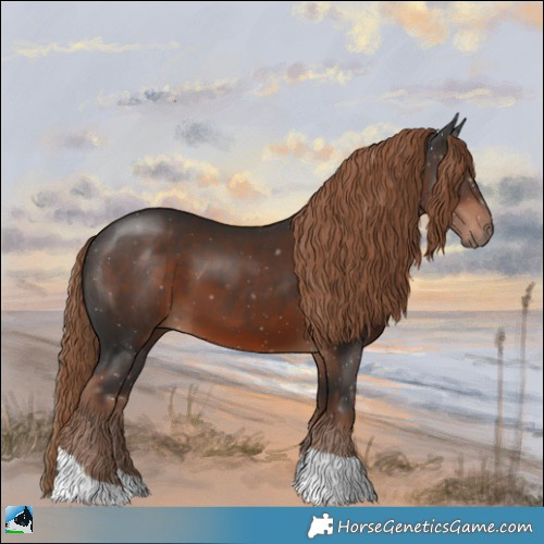 Horse Color:Liver Chestnut Tobiano 