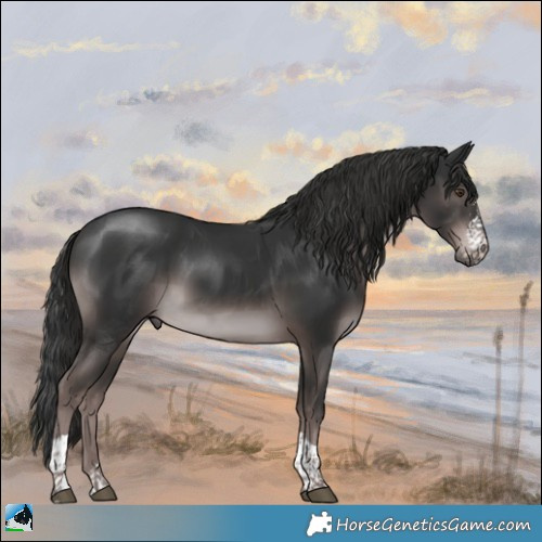 Horse Color:Platinum Liver Chestnut Sabino Tobiano 