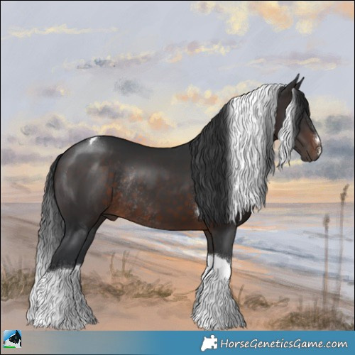 Horse Color:Brown Tobiano Rabicano 