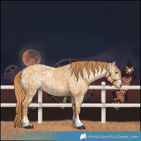 Horse Color:Red Dun Blanket  and Red Dun 
