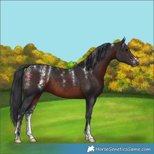 Horse Color:Powder White Brown 