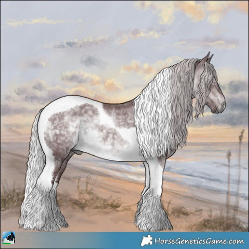 Horse Color:Chocolate Silver Brown Chinchilla Tobiano 